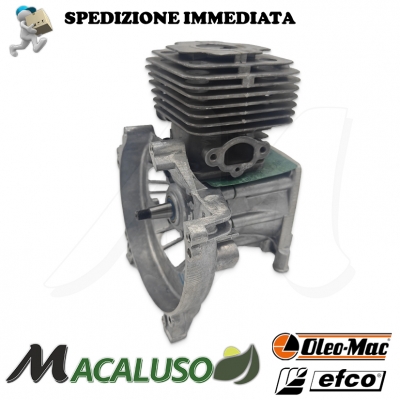 Motore ompleto Motosega Oleomac GST 250 Efco MTT 2500 Emak gst 250 mtt 2500 blocco motore short block