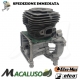 Motore ompleto Motosega Oleomac GST 250 Efco MTT 2500 Emak gst 250 mtt 2500 blocco motore short block