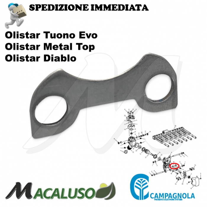 Piastra Inox per abbacchiatori pneumatici Campagnola Olistar Tuono Evo piastrina