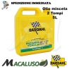 Olio miscela 2T Bardahl Garden Power Tools 5 litri lubrificante sintetico motosega decespugliatore
