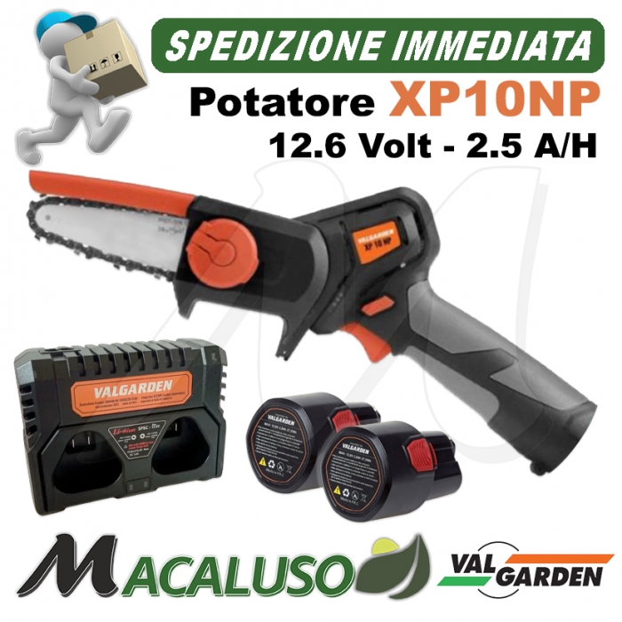Potatore Blue Bird CS2204 seghetto motosega batteria rifinitore tipo stihl gta26