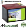 Batteria a secco recinti elettrificati 9 Volt 90 Ah filo elettrico elettropascolo cinghiali mucche cavalli pila salina