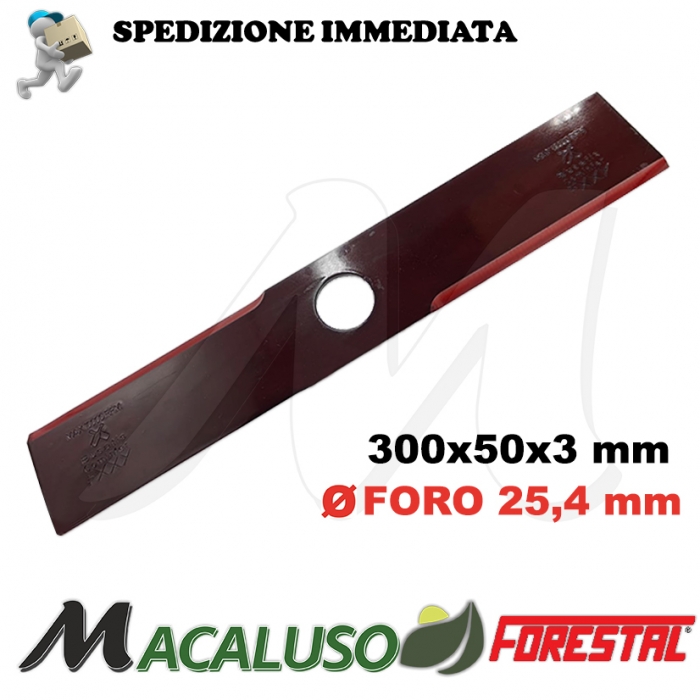 Disco Forestal 2 denti mm.300x50x3 foro mm.25.4 lama a baffo professionale decespugliatore