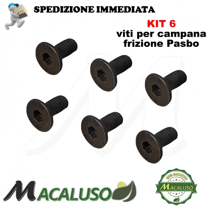 Vite TSEI 6X12 UNI 5933 per anello frizione motozappa Pasbo G73 art.201010000