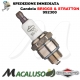 Candela BRIGGS & STRATTON 992300