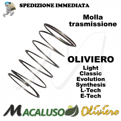 Molla trasmissione x Oliviero E-Tech Evolution Classic Light Sinthesis T005-ZHECSL 