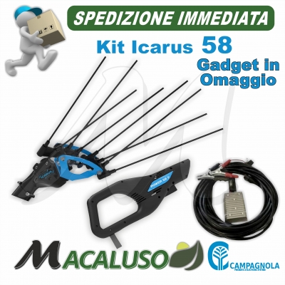 Abbacchiatore elettrico a Batteria Campagnola Icarus 58 NEW 2020 Asta alluminio e carbonio