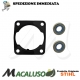 Serie guarnizioni paraoli Stihl MS150TC-E MS151TC-E 11460071600 guarnizione