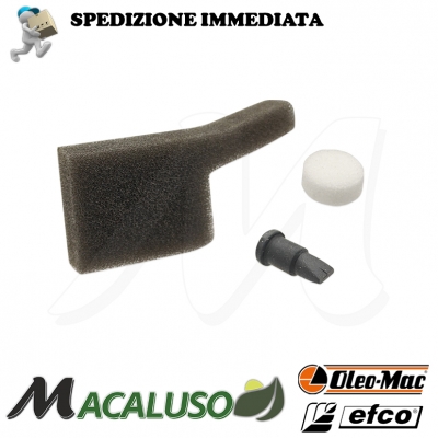 Kit valvola e pastiglia sfiato serbatoio olio motosega OleoMac 925 GS260 Zenoah G2500 Alpina Husqvarna cinese