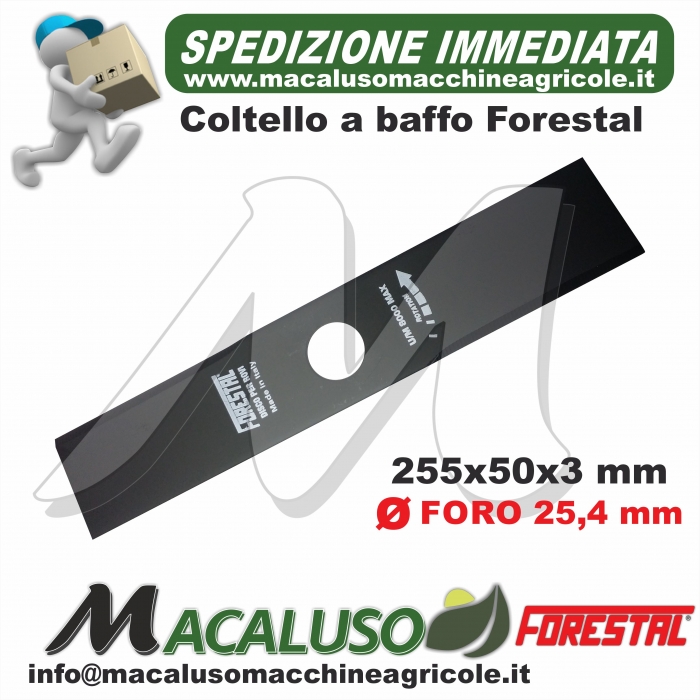 Disco Forestal 2 denti mm.250x50x3 foro mm.25.4 lama a baffo decespugliatore
