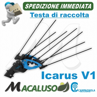 Testa di raccolta Abbacchiatore elettrico a Batteria Campagnola Icarus NEW 2020 ETRA 0340