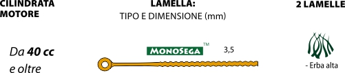 monosega 3-5 .jpg